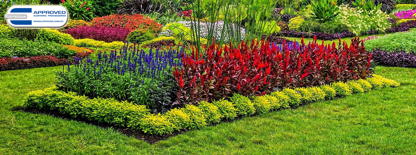 Jardines