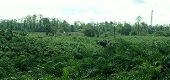 Administración de Proyectos Agrícolas